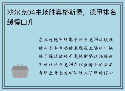 沙尔克04主场胜奥格斯堡，德甲排名缓慢回升