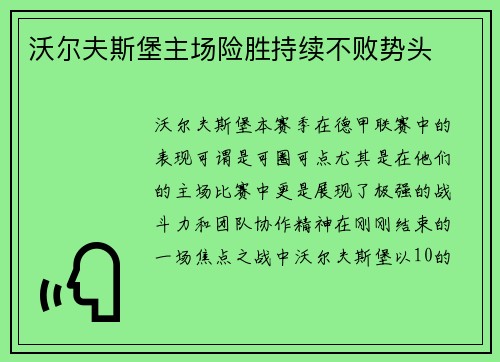 沃尔夫斯堡主场险胜持续不败势头